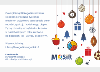 Wesołych Świąt i Szczęśliwego Nowego Roku!